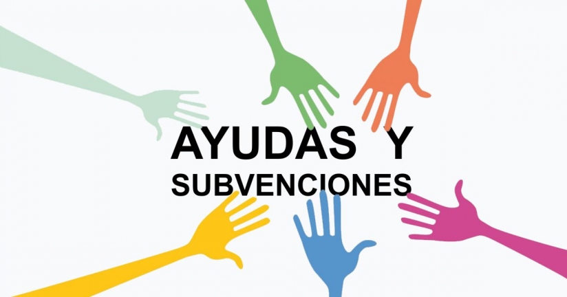 AYUDAS DIRIGIDAS A PYMES PARA FOMENTAR EL ASCENSO PROFESIONAL DE LA MUJER