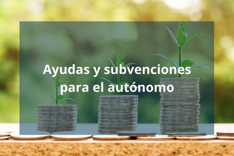 SUBVENCIONES PARA LOS AUTóNOMOS DADOS DE ALTA ENTRE SEPTIEMBRE DE 2018 Y AGOSTO DE 2019